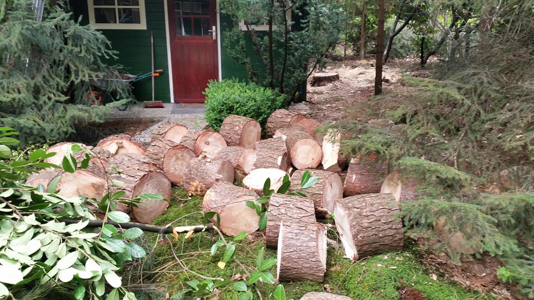 Dat was de boom helaas
