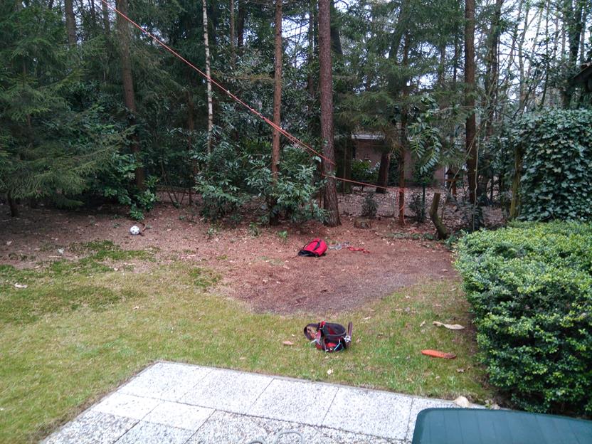 Zekeren van bomen bij het weghalen