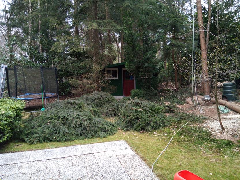 Takken uit de bomen weggezaagd