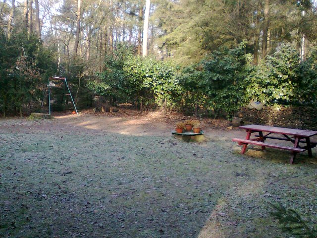 Stronk in voortuin