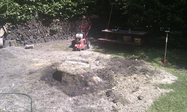 Stronk in voortuin wegfrezen