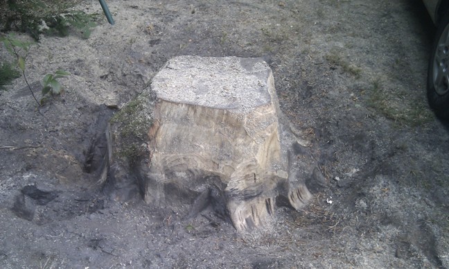 Stronk in voortuin wegfrezen