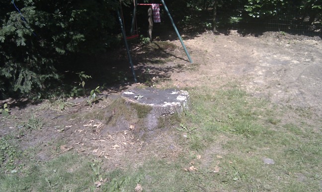 Stronk in voortuin bij schommel wegfrezen