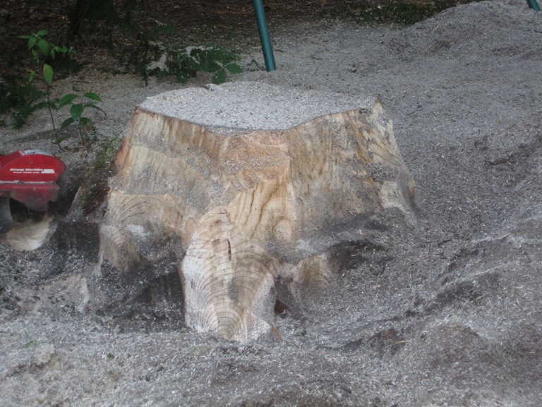 Stronk in voortuin bij schommel wegfrezen